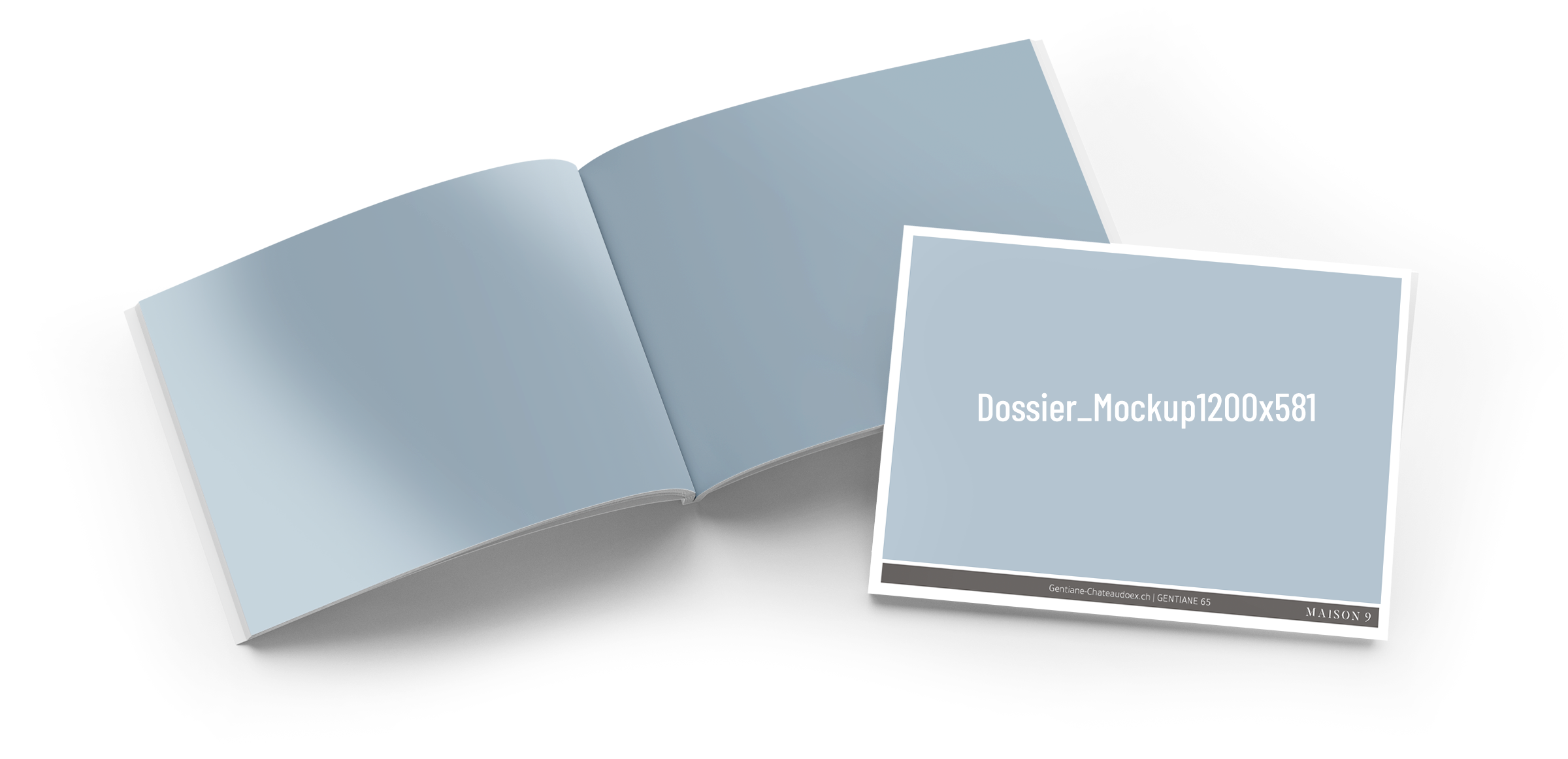 Appartement / Gentiane - keyplan